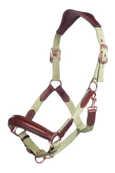 Leather halter for horses with rose gold fittings