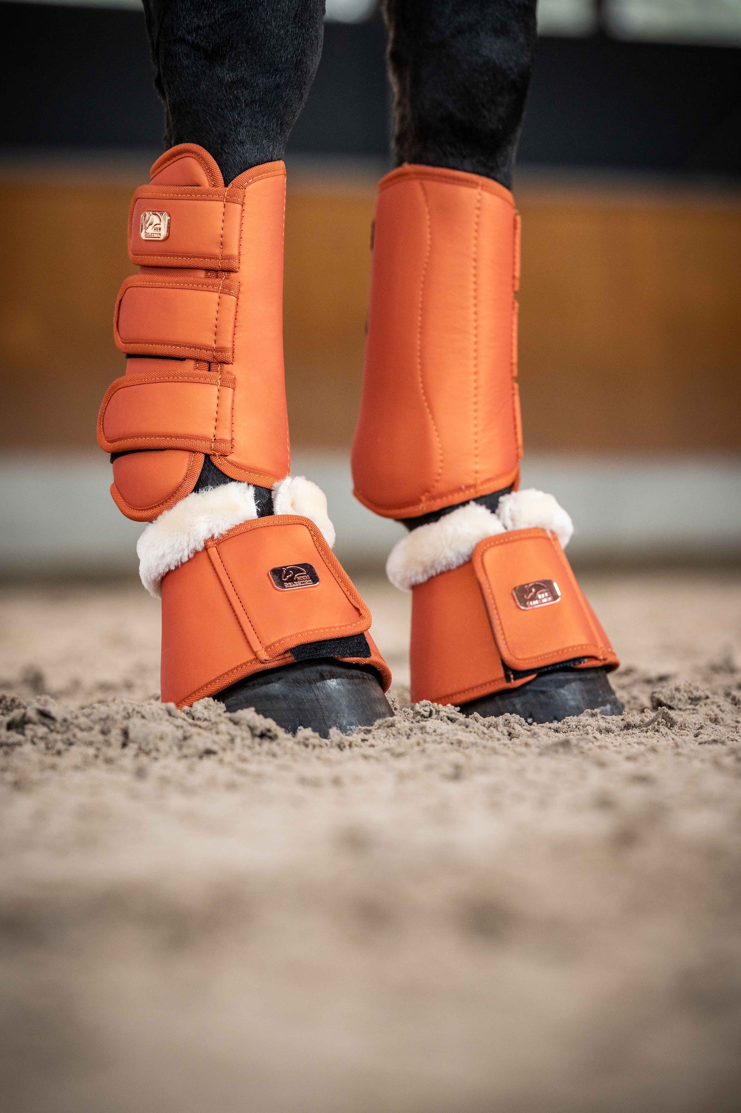 orange dressage boots