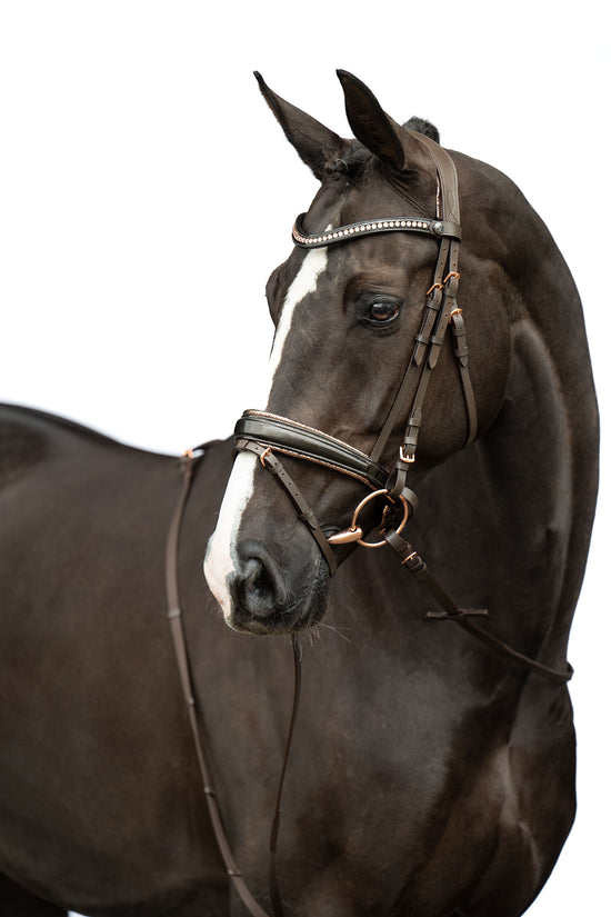 Horse bridle with rose gold fittings