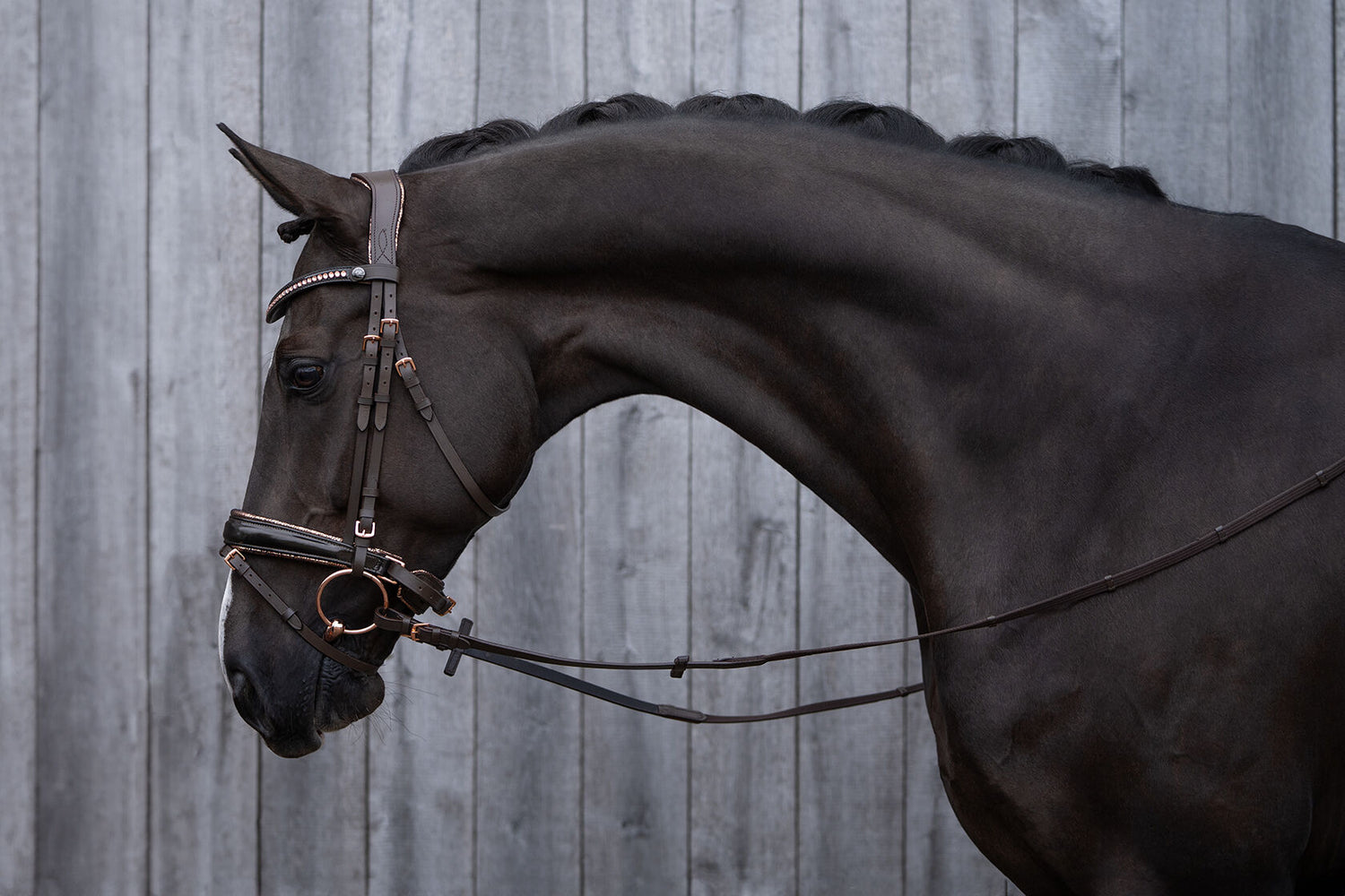 Bridle with rose gold details 