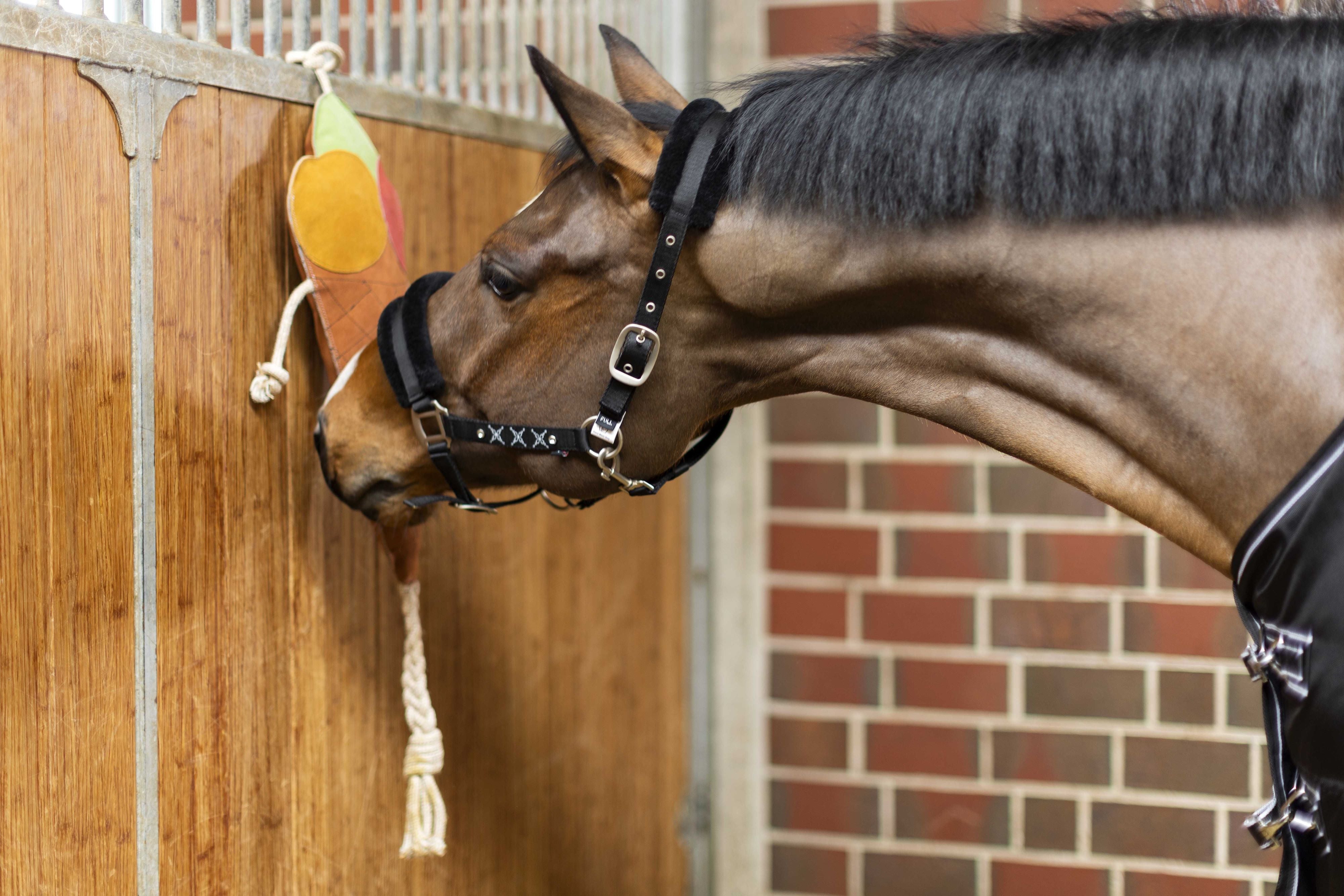 Play toy horses store ice cream