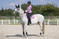 equestrian saddle blanket