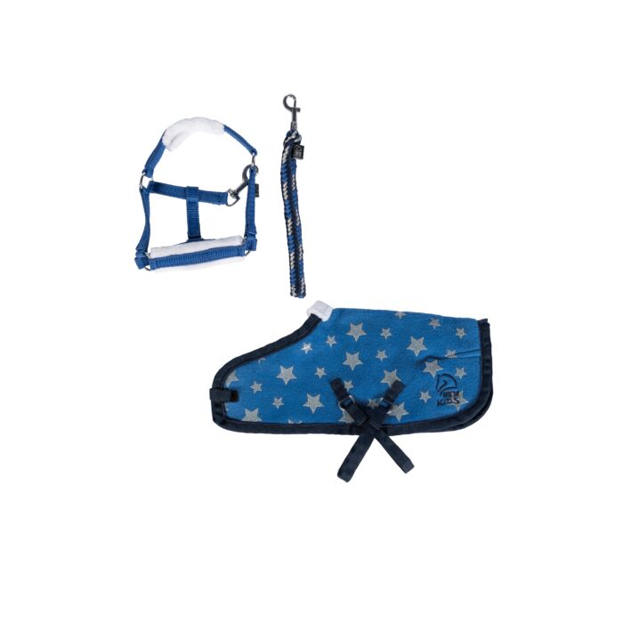 Star Set for plush pony lovers