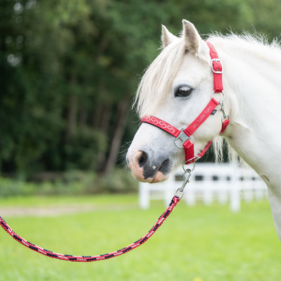 pony lead rope