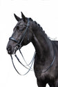 Double Bridle Grace