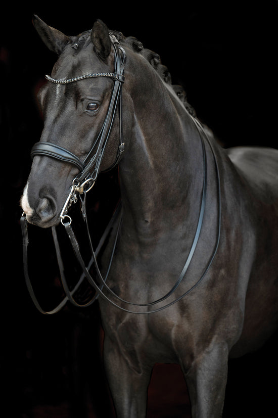 Dark brown horse wearing a HKM double bridle