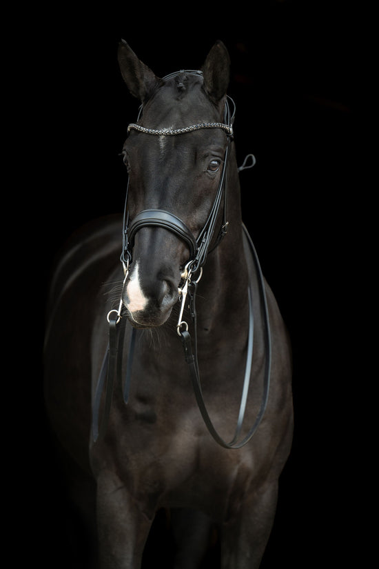 HKM Black double bridle