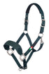 Dark Green Horse Halter