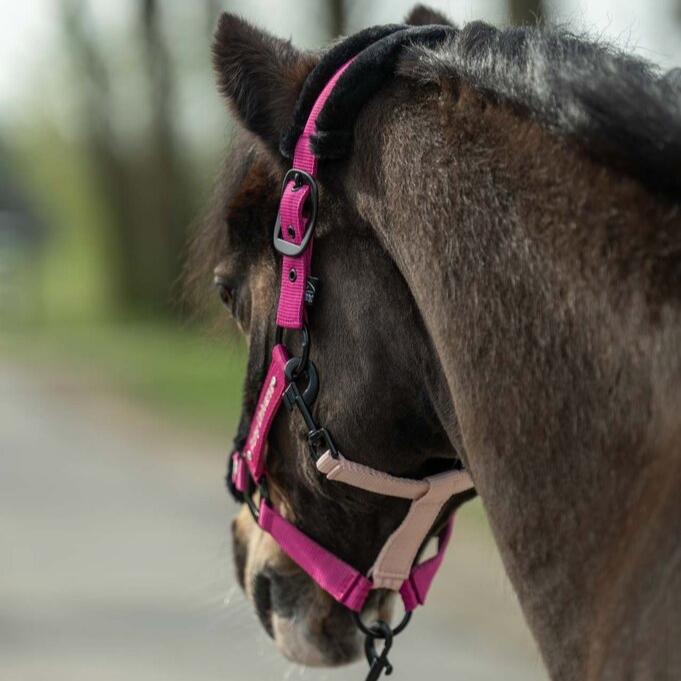 HKM Pony halter