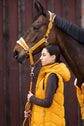 orange head collar with padding