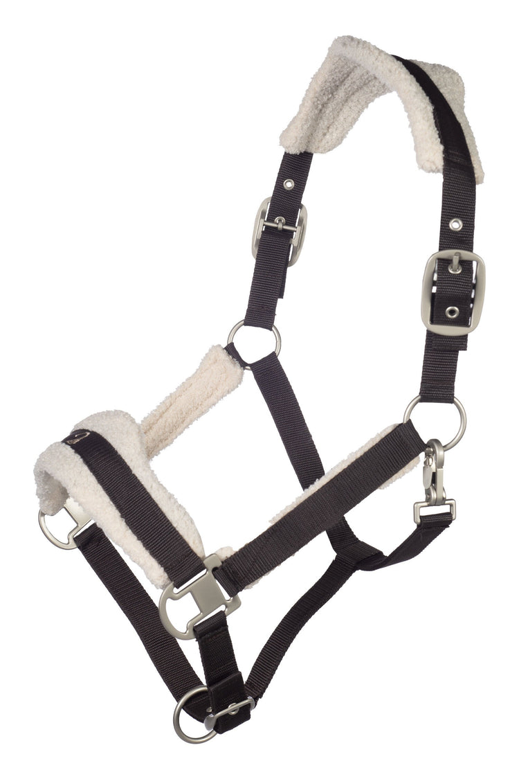 Padded head collar with beige teddy fur