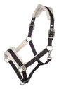 Padded head collar with beige teddy fur