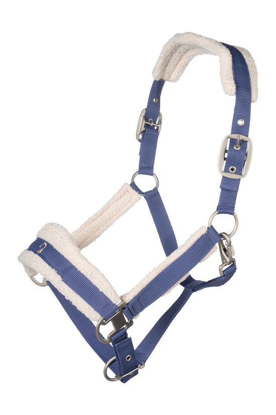 Head collar with silver fittings