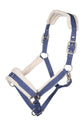 Head collar with silver fittings