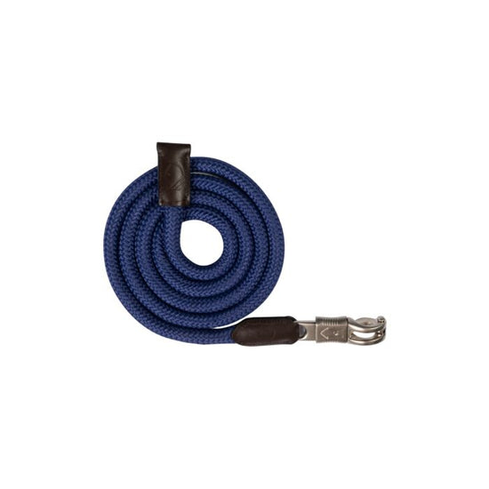 Lead rope with panic hook blue