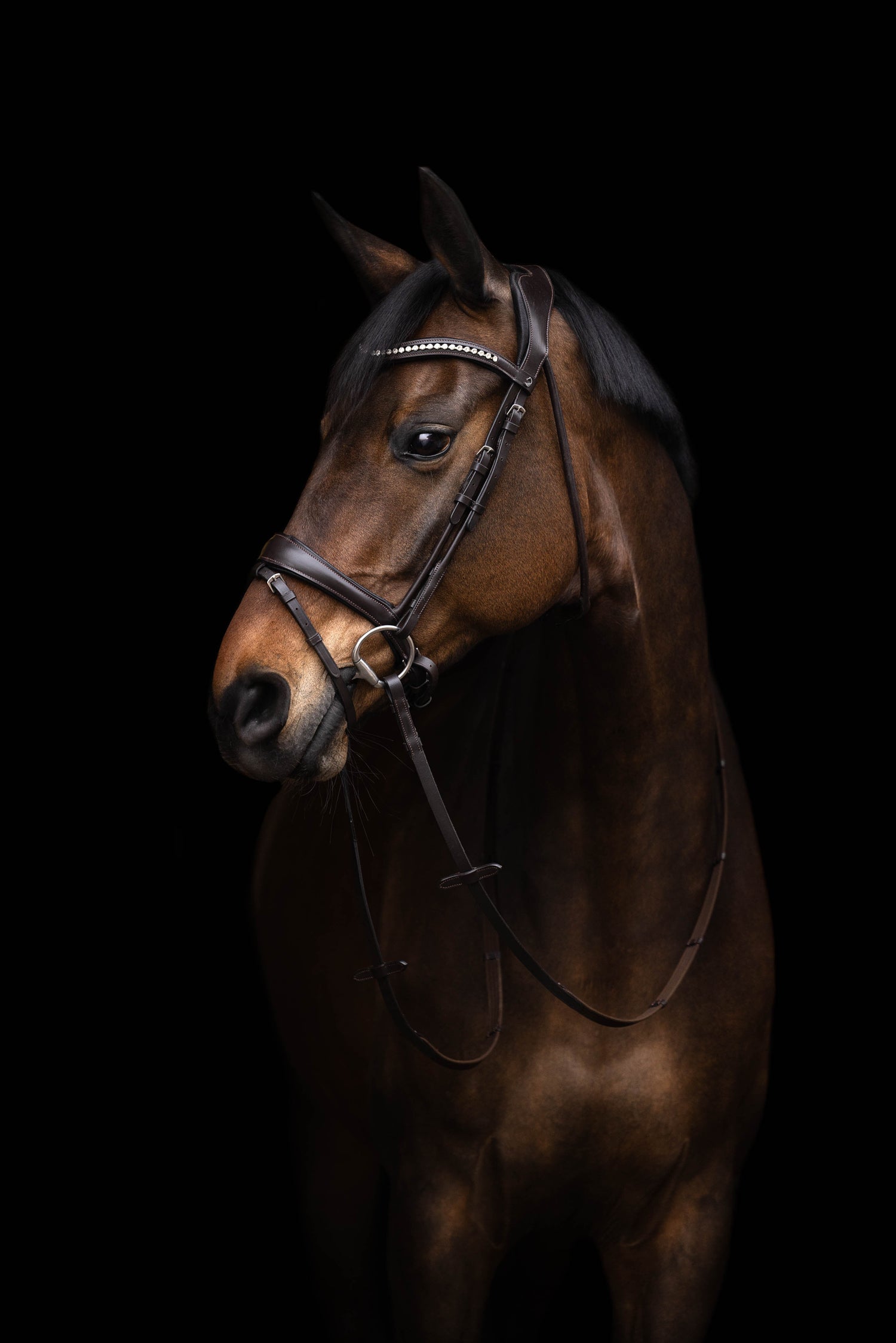 soft leather horse bridle anatomically shaped for comfort black