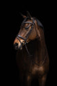 soft leather horse bridle anatomically shaped for comfort black