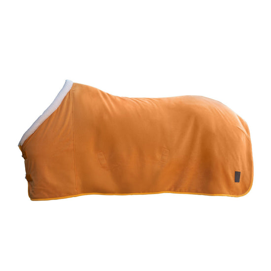 warm horse blanket