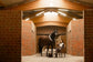 horse cooler dark brown