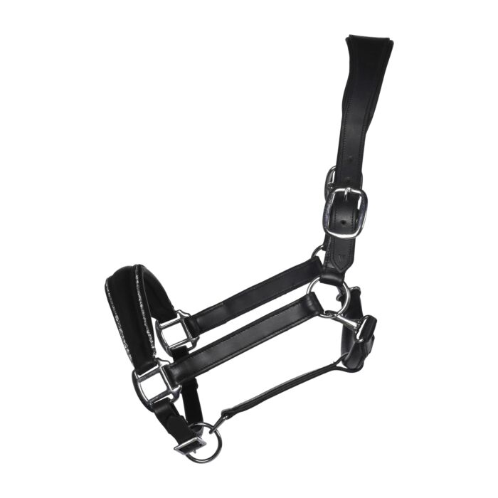 Leather horse halter with soft padding and crystals