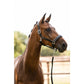 HKM premium leather horse halter Glamour