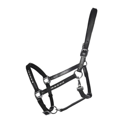 Premium equestrian leather halter with sparkle