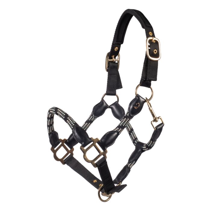 Sporty horse halter with leather combination