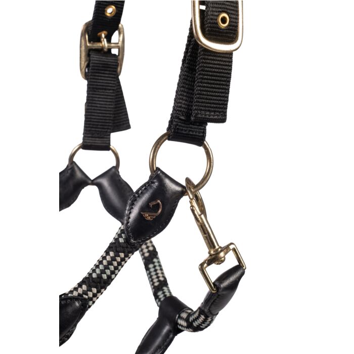Durable equestrian head collar for daily use