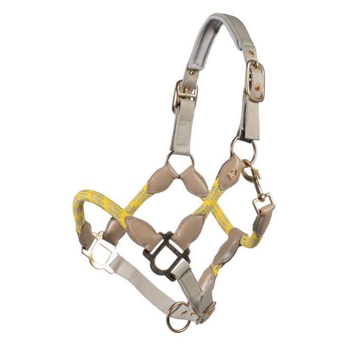 Lauria Garrelli halter with matte gold fittings