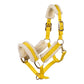 Elegant horse halter with gold hardware lemon