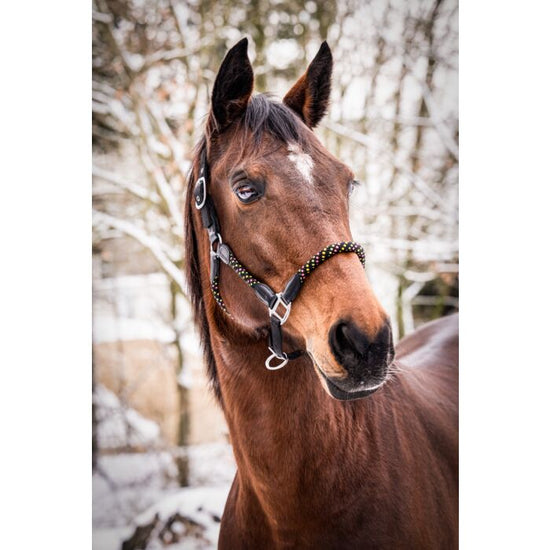 HKM Head Collar NeonFlash horse halter