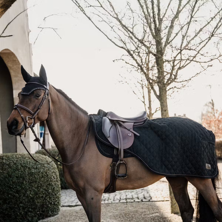 160g riding rug for horses providing additional warmth during exercise.