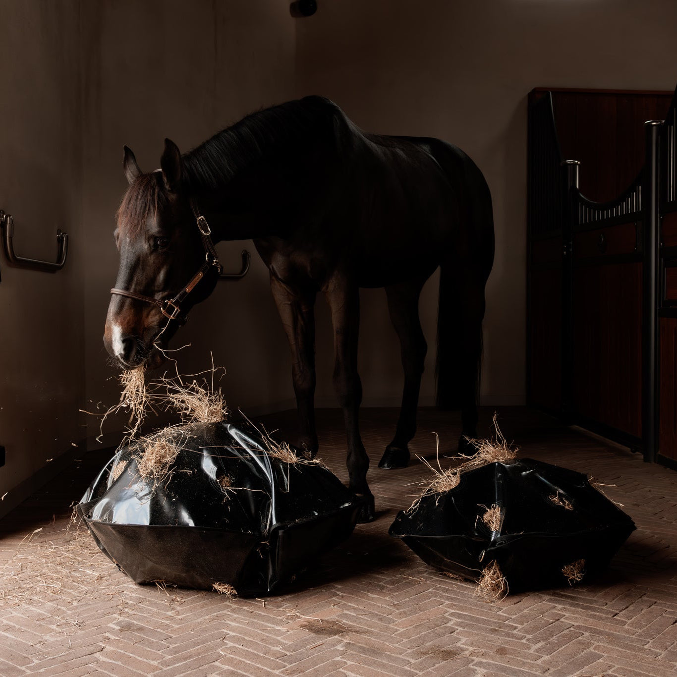 grooming deluxe stable products
