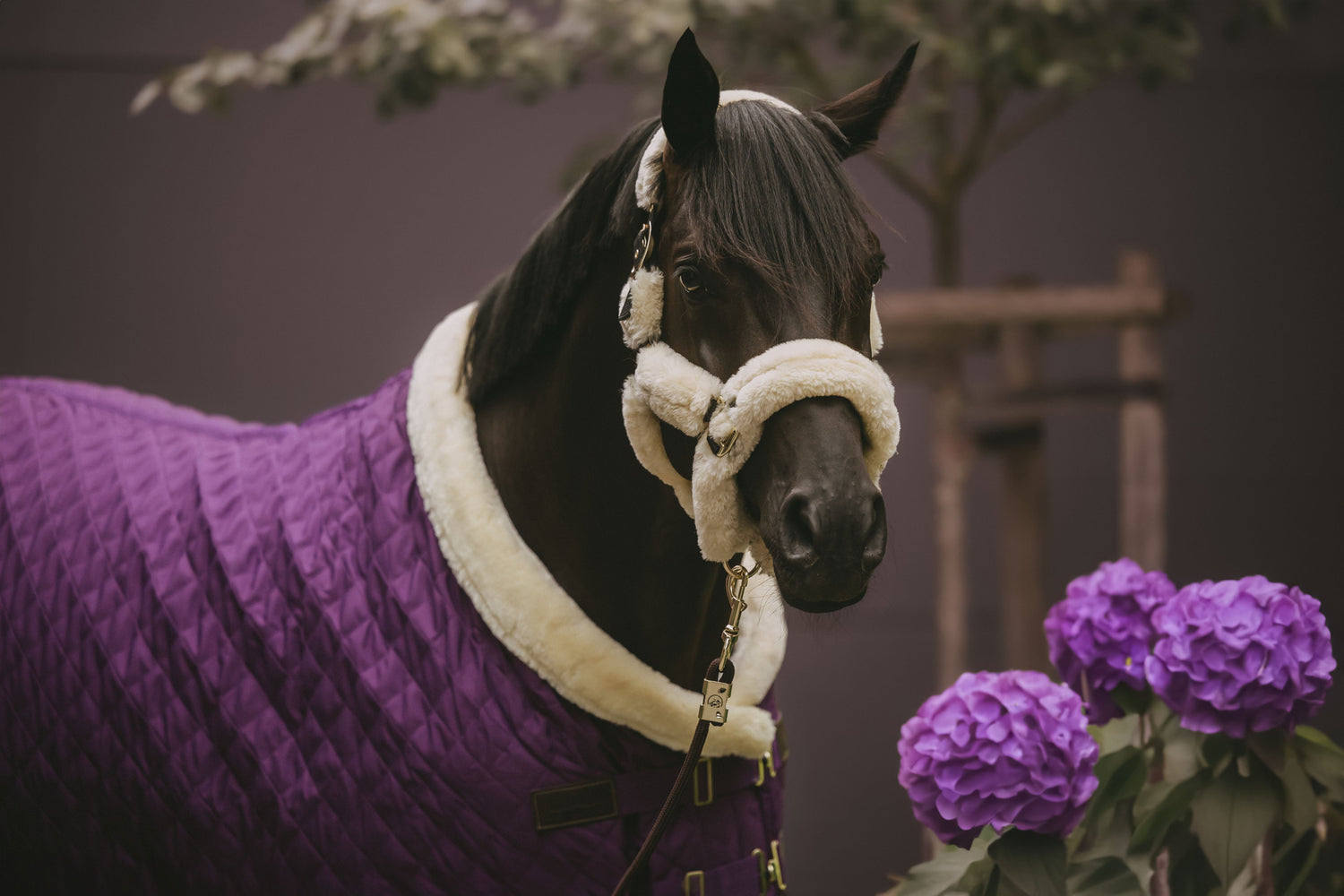 Luxury Horse Rug with Sheepskin