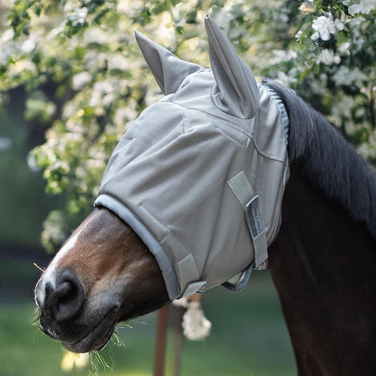 Horse fly mask
