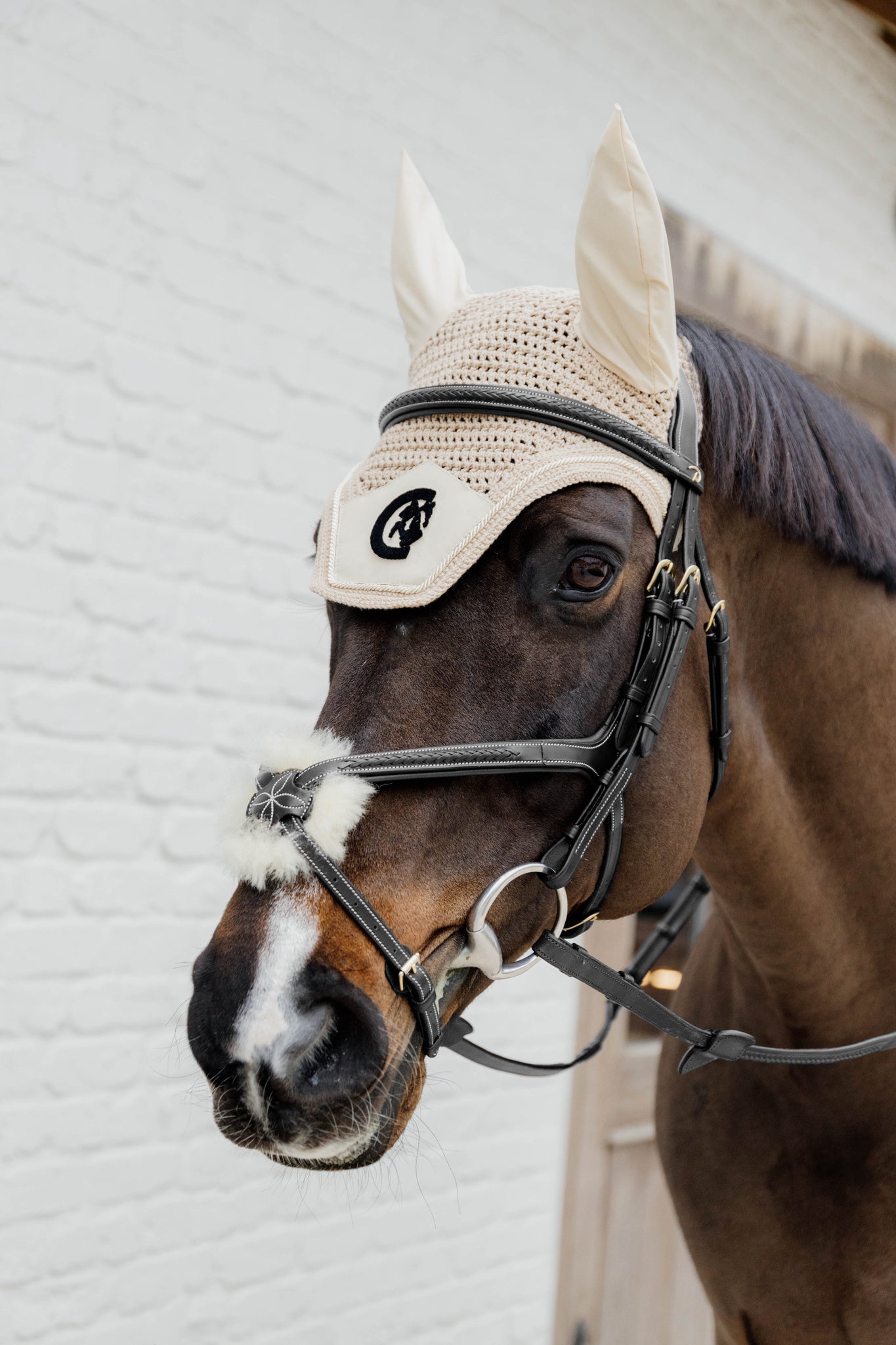 Mexican noseband bridle with no rings