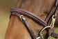 Anatomic Bridle Functional