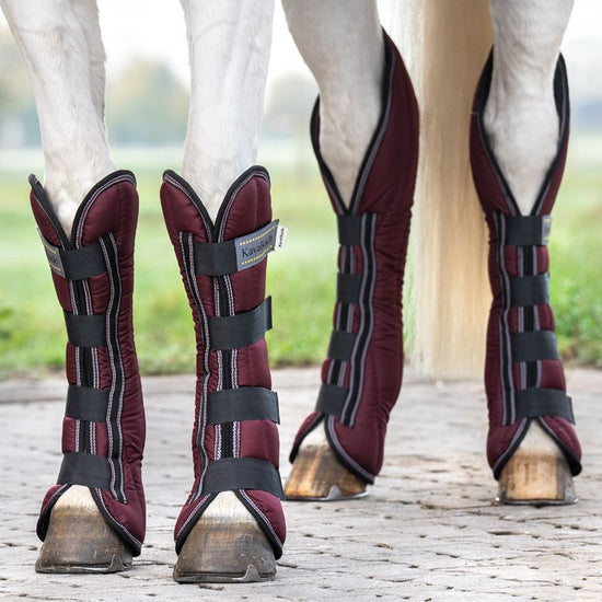 Travel Boots for horses