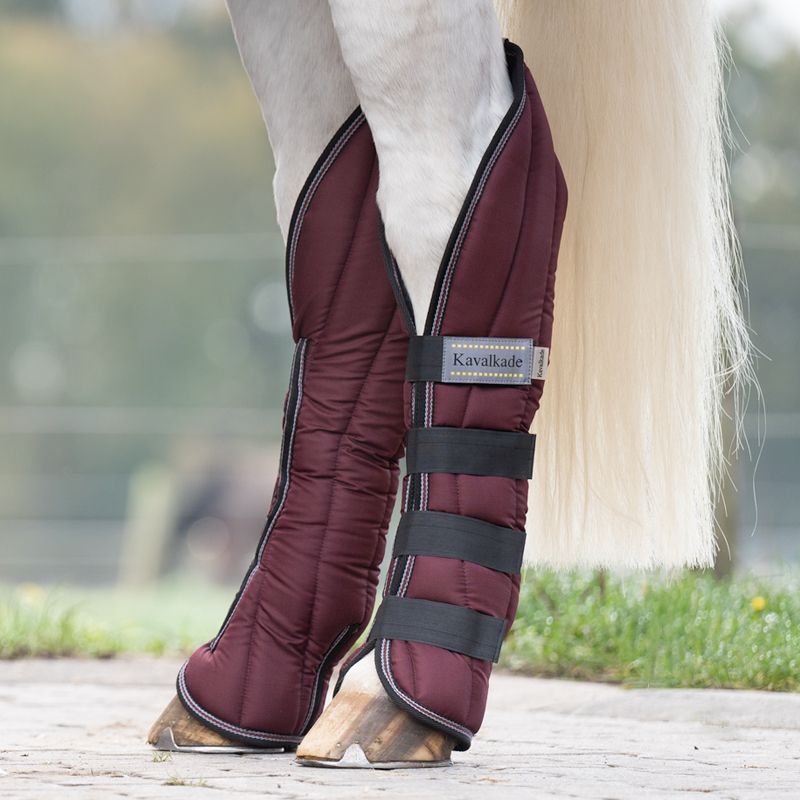 Burgundy travel boots hotsell