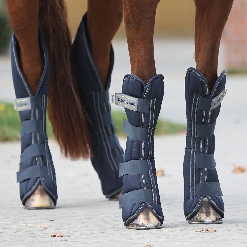 Long travel boots for horses