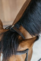Leather training bridle with easy adjustment