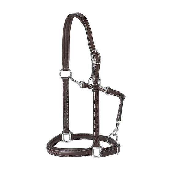 Leather halter with fancy stitch