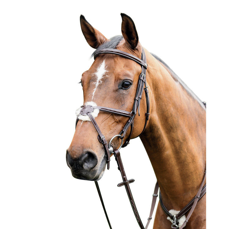 Figure 8 bridle with fancy stitch