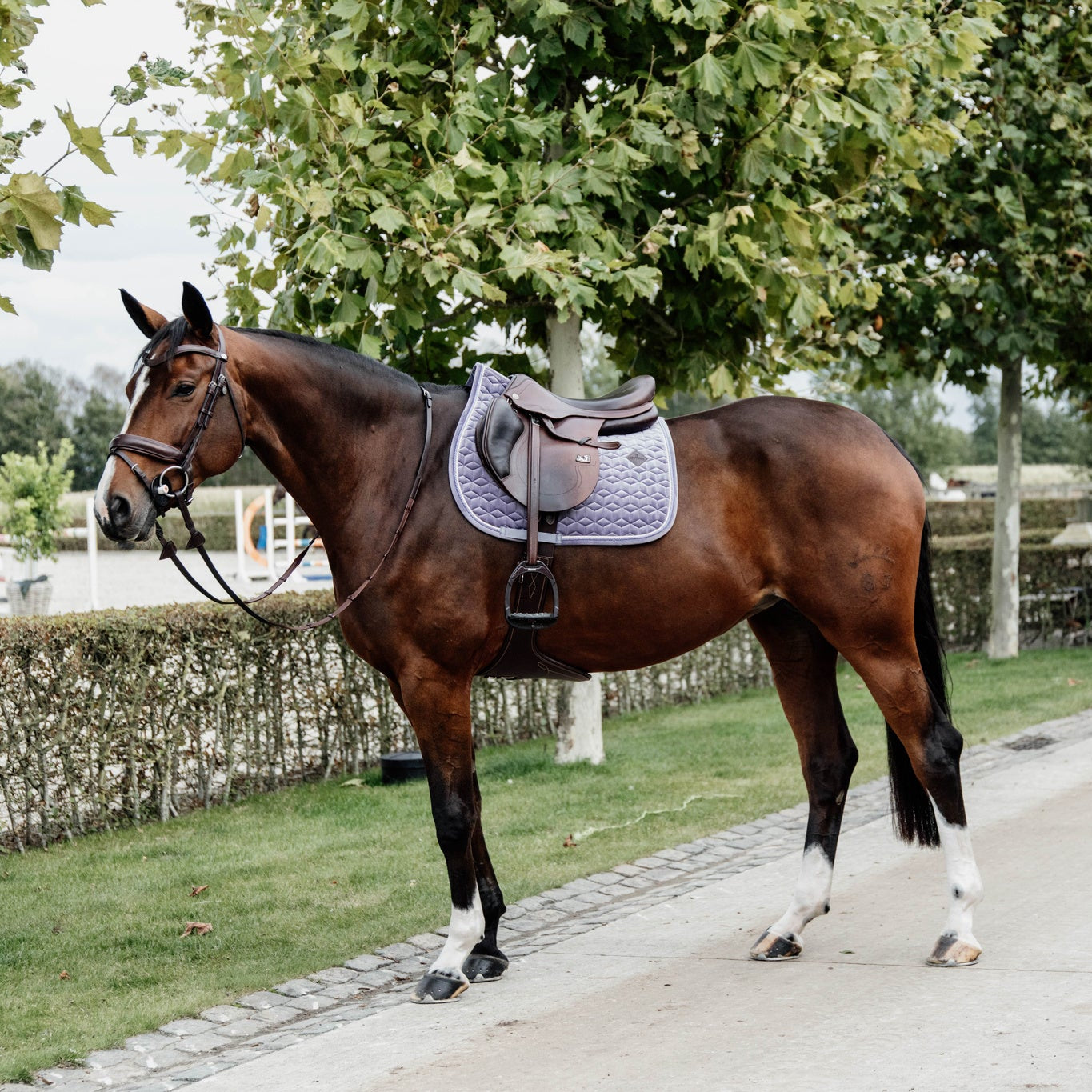 Kentucky Horsewear Velvet Set Purple