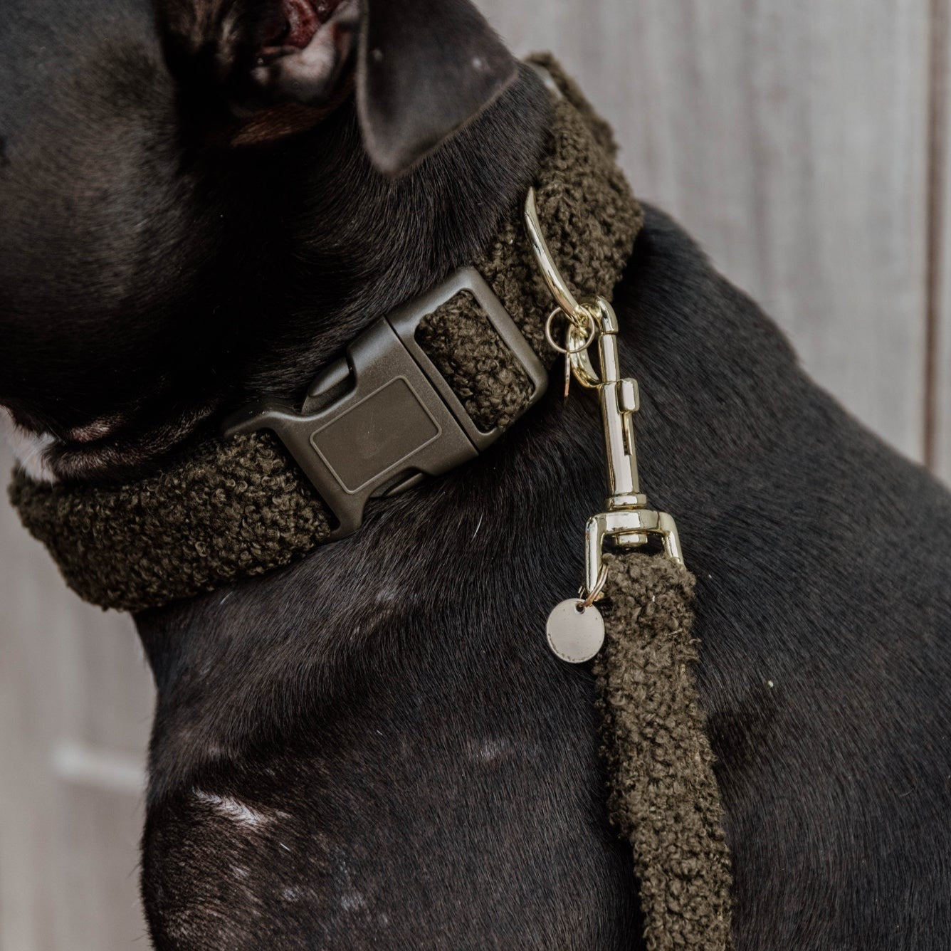 Fleece dog outlet leads