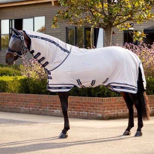 Best horse fly rugs