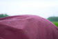 Tyrex 1200D Turnout Rug with High Neck Burgundy