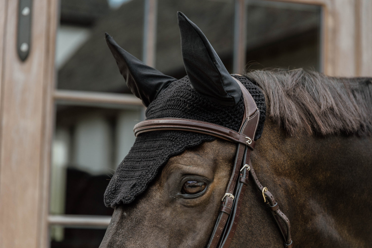 High Quality Ear Bonnet for competition