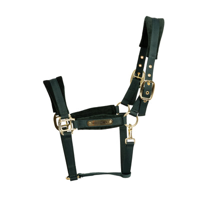 green horse head collar