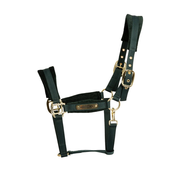 green horse head collar